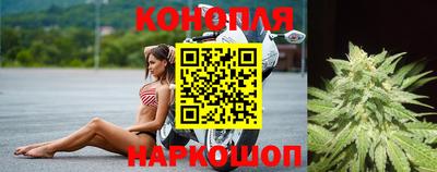 прущие крисы Гатчина