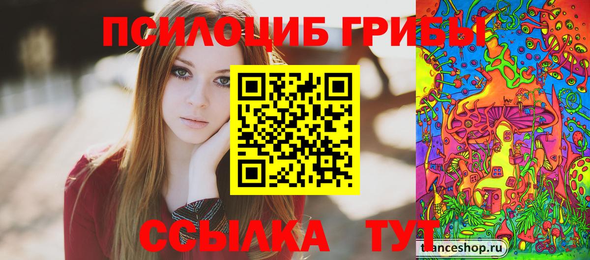 Псилоцибиновые грибы MAGIC MUSHROOMS Губкин