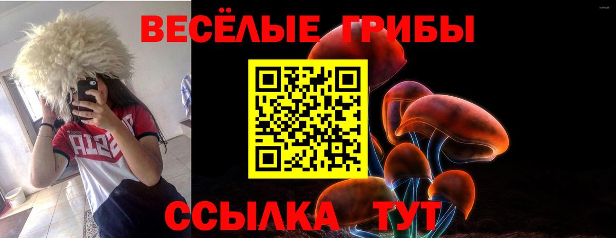 где купить   Вход с VPN  Галлюциногенные грибы Cubensis  Губкин  Псилоцибиновые грибы мицелий 